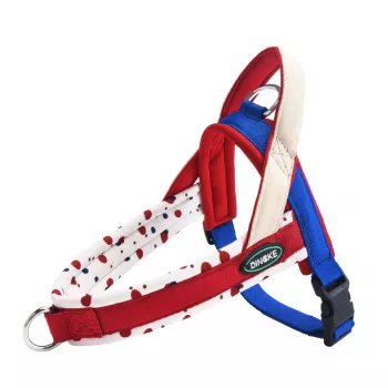 No-Pull Reflective Dog Harness & Leash Set: Fit Guide